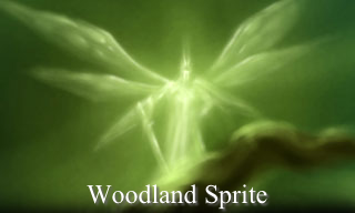 Woodland Sprite Graphic