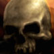 Giant skull Icon